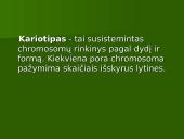 Chromosoma 6 puslapis