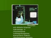 Chromosoma 8 puslapis
