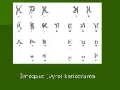 Chromosoma 10 puslapis