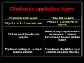 Cukrinis diabetas ir jo sukeliamos problemos 14 puslapis