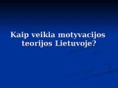 Darbo motyvacijos teorijos. Jų taikymas Lietuvoje 12 puslapis