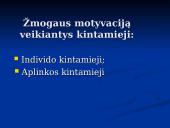 Darbo motyvacijos teorijos. Jų taikymas Lietuvoje 3 puslapis