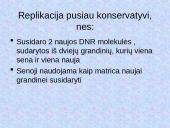 DNR. Baltymų sintezė 12 puslapis