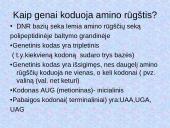 DNR. Baltymų sintezė 13 puslapis