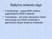 DNR. Baltymų sintezė 15 puslapis
