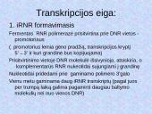 DNR. Baltymų sintezė 16 puslapis