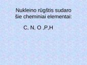 DNR. Baltymų sintezė 3 puslapis