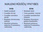 DNR. Baltymų sintezė 4 puslapis