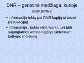 DNR. Baltymų sintezė 9 puslapis