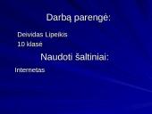 Duomenų saugumas ir praradimas 13 puslapis