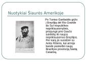 Džiuzepė Garibaldis 5 puslapis