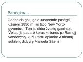 Džiuzepė Garibaldis 8 puslapis