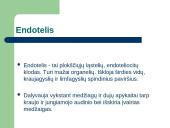 Endotelio išskiriamos medžiagos veikiančios krešėjimo procesus ir jų vaidmuo krešėjimo sutrikimų patogenezei 2 puslapis
