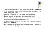 Etnografinio paveldo (liaudies architektūros) tvarkymo darbai 2 puslapis