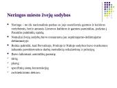 Etnografinio paveldo (liaudies architektūros) tvarkymo darbai 13 puslapis