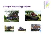 Etnografinio paveldo (liaudies architektūros) tvarkymo darbai 14 puslapis