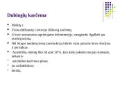 Etnografinio paveldo (liaudies architektūros) tvarkymo darbai 15 puslapis