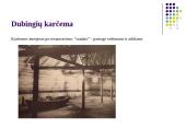 Etnografinio paveldo (liaudies architektūros) tvarkymo darbai 17 puslapis