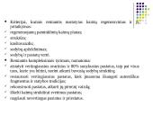 Etnografinio paveldo (liaudies architektūros) tvarkymo darbai 4 puslapis