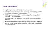 Etnografinio paveldo (liaudies architektūros) tvarkymo darbai 6 puslapis