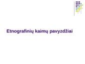 Etnografinio paveldo (liaudies architektūros) tvarkymo darbai 7 puslapis