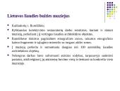 Etnografinio paveldo (liaudies architektūros) tvarkymo darbai 8 puslapis