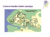 Etnografinio paveldo (liaudies architektūros) tvarkymo darbai 10 puslapis