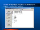Europos Sąjungos šalių duomenų bazė 5 puslapis