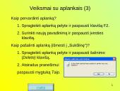 Failų ir aplankų (katalogų) tvarkymas 11 puslapis