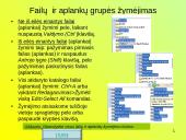 Failų ir aplankų (katalogų) tvarkymas 18 puslapis