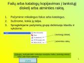 Failų ir aplankų (katalogų) tvarkymas 19 puslapis