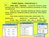 Failų ir aplankų (katalogų) tvarkymas 4 puslapis