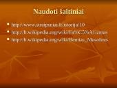 Fašistų veikla 10 puslapis