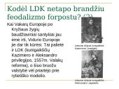 Feodalizmas ir Lietuva 19 puslapis