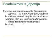 Feodalizmas ir Lietuva 9 puslapis