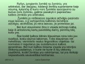 Ferdinandas de Sosiūras 11 puslapis