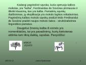 Ferdinandas de Sosiūras 6 puslapis