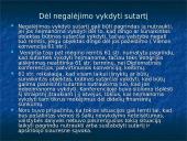 Gabčikovo-Nagymaros projektas tai Dunojaus užtvankos projektas 17 puslapis