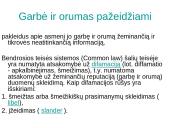 Garbė ir orumas 7 puslapis