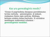 Genealoginiai medžiai 2 puslapis