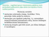 Genealoginiai medžiai 12 puslapis