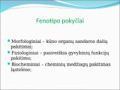 Genealoginiai medžiai 14 puslapis