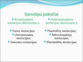 Genealoginiai medžiai 15 puslapis