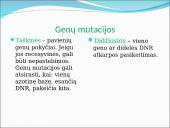 Genealoginiai medžiai 16 puslapis