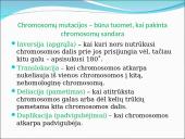 Genealoginiai medžiai 17 puslapis