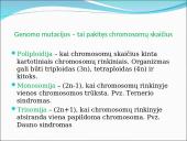 Genealoginiai medžiai 18 puslapis