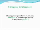 Genealoginiai medžiai 19 puslapis