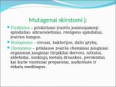 Genealoginiai medžiai 20 puslapis