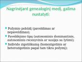 Genealoginiai medžiai 3 puslapis