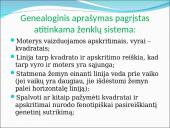 Genealoginiai medžiai 4 puslapis